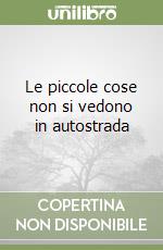 Le piccole cose non si vedono in autostrada libro