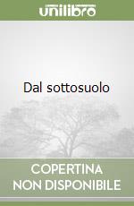 Dal sottosuolo libro