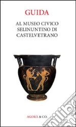 Guida al museo civico Selinuntino di Castelvetrano