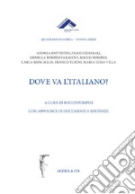 Dove va l'italiano? libro