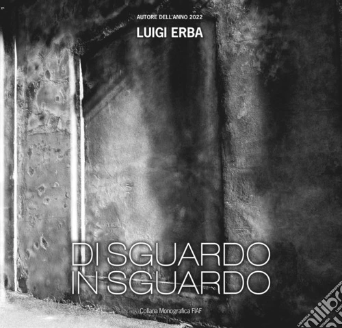 Luigi Erba. Ediz. illustrata