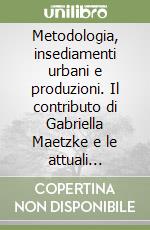 Metodologia, insediamenti urbani e produzioni. Il contributo di Gabriella Maetzke e le attuali prospettive delle ricerche. Convegno internazionale (2004) libro