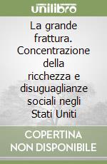 La grande frattura. Concentrazione della ricchezza e disuguaglianze sociali negli Stati Uniti