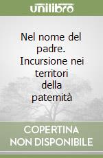 Nel nome del padre. Incursione nei territori della paternità libro