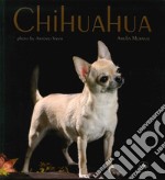 Chihuahua libro