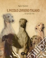 Il piccolo levriero italiano... secondo me libro