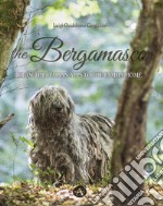 The bergamasco. From the Italian Alps to the family home