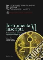 Instrumenta inscripta VI. Le iscrizioni con funzione didascalico-esplicativa libro