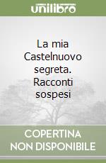La mia Castelnuovo segreta. Racconti sospesi libro
