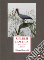 Riflessi d'acqua. Poesie haiku e aforismi libro