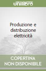 Produzione e distribuzione elettricità libro