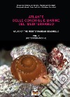 Atlante delle conchiglie marine del Mediterraneo. Ediz. italiana e inglese. Vol. 5 libro