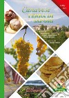 Canavese terra di sapori. Con DVD video libro