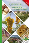 Canavese. Land of flavours. Con DVD video libro di Ponzetti Giovanni