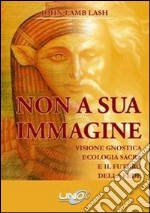 Non a sua immagine. Visione gnostica. Ecologia sacra. E il futuro della fede libro