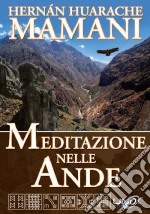 Meditazione nelle Ande libro