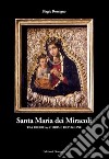 Santa Maria dei Miracoli tra ricerca, storia e devozione libro