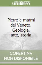 Pietre e marmi del Veneto. Geologia, arte, storia libro