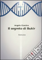 Il segreto di Bukir