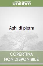 Aghi di pietra libro