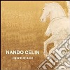 Nando Celin. Dipinti di luce. Ediz. illustrata libro