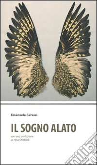 Il sogno alato