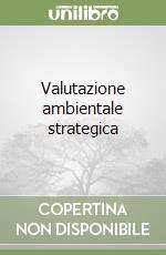 Valutazione ambientale strategica