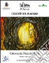 Cascate del Niagara. Giovanni Nascimbeni. Pittura materica. Ediz. illustrata libro