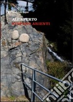 Stefano Arienti. All'aperto. Ediz. multilingue