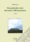 Una piccola voce davanti a Bismantova libro