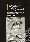 Colligite fragmenta. Il Lapidario di Cosenza fra storia, arte e restauro libro