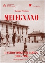 Melegnano, l'antico borgo sul Lambro (1850-1900) libro