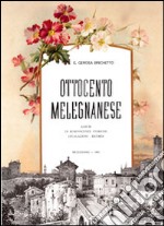 Ottocento melegnanese