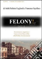 Felony! Anticorruzione, trasparenza e corporate social responsability nella pubblica amministrazione