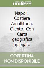 Napoli. Costiera Amalfitana. Cilento. Con Carta geografica ripiegata libro