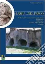 Lassù... nel parco. Nelle realtà sociali a sud-est del parco Cotronei, Mesoraca, Petilia Policastro, Savelli libro