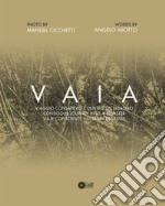 Vaia. Viaggio consapevole dentro un disastro. Ediz. italiana, inglese e spagnola