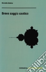 Breve saggio caotico