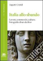 Italia allo sbando. Lavoro, commercio, cultura. Fotografia di un declino libro