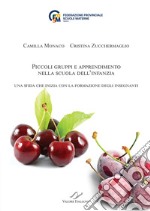 Piccoli gruppi e apprendimento nella scuola dell'infanzia. Una sfida che inizia con la formazione degli insegnanti libro