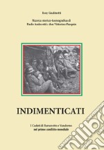 Indimenticati. I caduti di Barazzetto e Vandorno nel primo conflitto mondiale libro