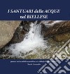 I Santuari delle Acque nel Biellese. Percorso storico artistico con un itinerario in luoghi di fede prodigiosi libro di Ghiraldello Claudia