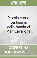 Piccola storia partigiana della banda di Pian Cavallone libro
