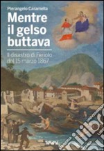 Mentre il gelso buttava. Il disastro di Feriolo de 15 marzo 1867 libro