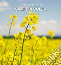 Campi di colza