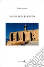 Non si alza il vento libro