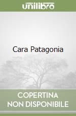 Cara Patagonia libro