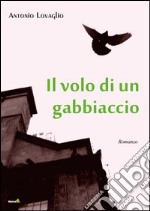 Il volo di un gabbiaccio libro