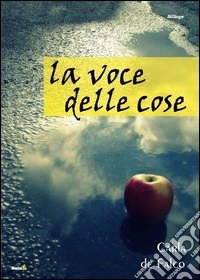 La voce delle cose libro