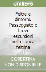 Feltre e dintorni. Passeggiate e brevi escursioni nella conca feltrina libro